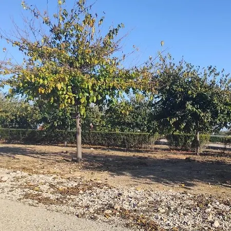 Maestrat Park Static Homes, Motorhomes, Caravans & Tents San Jorge (Castellon)