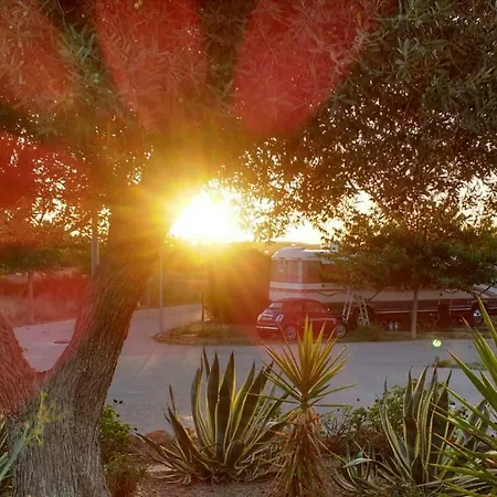 Campsite Maestrat Park Static Homes, Motorhomes, Caravans & Tents San Jorge (Castellon)